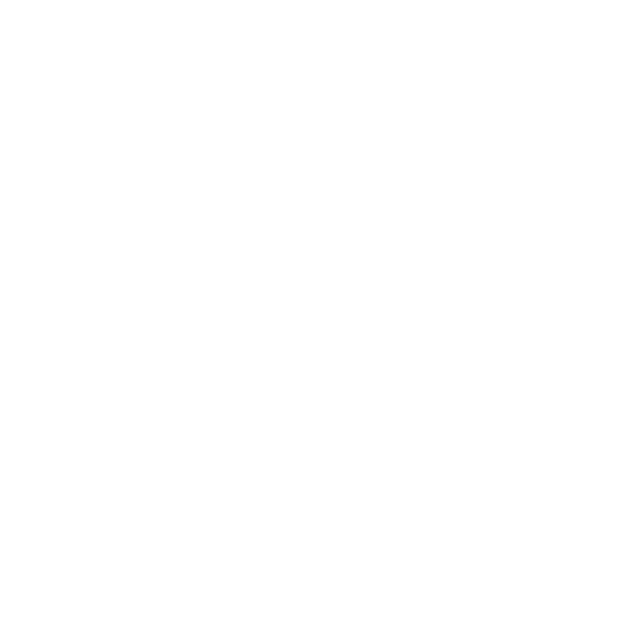 Plus Size Models